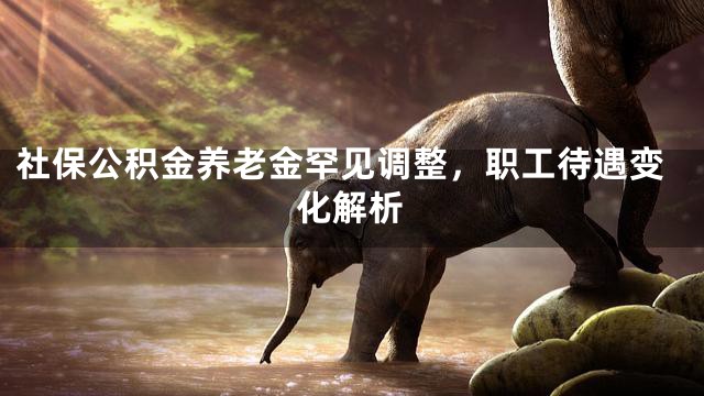 社保公积金养老金罕见调整，职工待遇变化解析