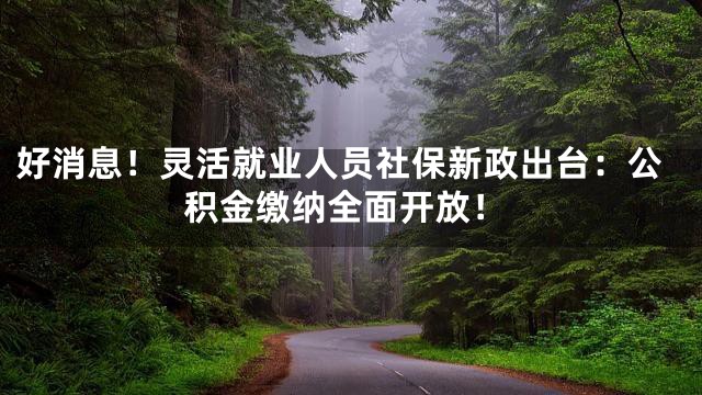 好消息！灵活就业人员社保新政出台：公积金缴纳全面开放！