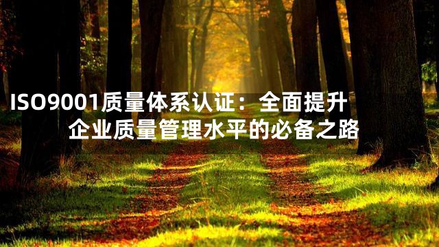 ISO9001质量体系认证：全面提升企业质量管理水平的必备之路