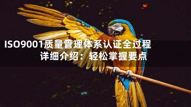ISO9001质量管理体系认证全过程详细介绍：轻松掌握要点
