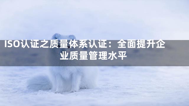 ISO认证之质量体系认证：全面提升企业质量管理水平