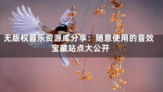 无版权音乐资源库分享：随意使用的音效宝藏站点大公开