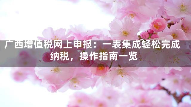 广西增值税网上申报：一表集成轻松完成纳税，操作指南一览