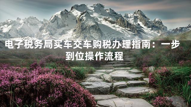电子税务局买车交车购税办理指南：一步到位操作流程