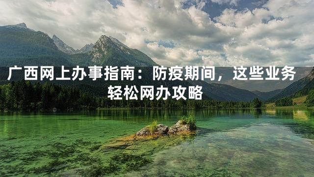 广西网上办事指南：防疫期间，这些业务轻松网办攻略