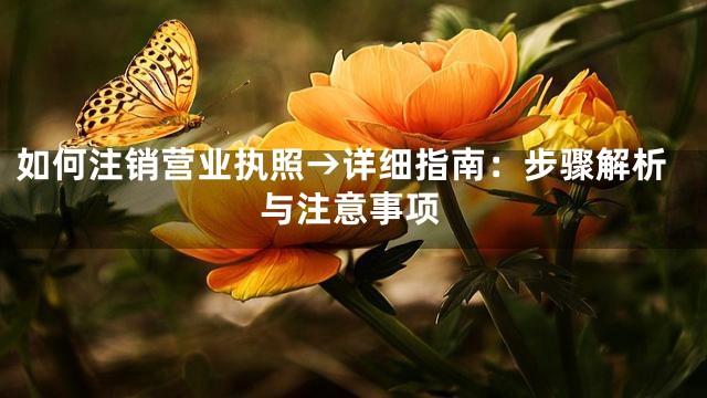如何注销营业执照→详细指南：步骤解析与注意事项