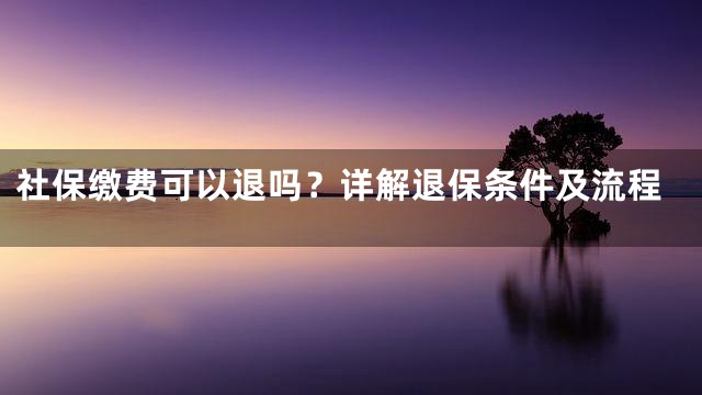 社保缴费可以退吗？详解退保条件及流程