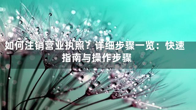 如何注销营业执照？详细步骤一览：快速指南与操作步骤