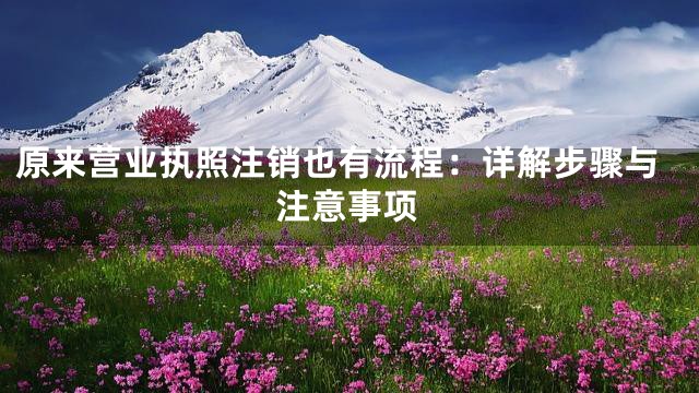 原来营业执照注销也有流程：详解步骤与注意事项