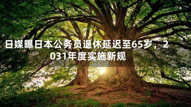 日媒曝日本公务员退休延迟至65岁，2031年度实施新规