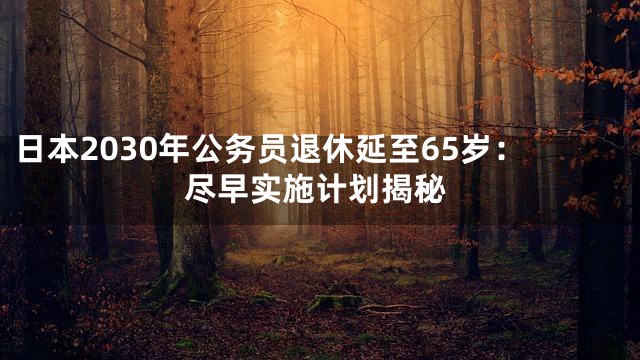 日本2030年公务员退休延至65岁：尽早实施计划揭秘