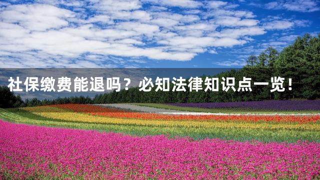社保缴费能退吗？必知法律知识点一览！