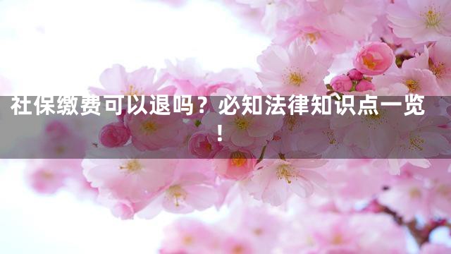 社保缴费可以退吗？必知法律知识点一览！