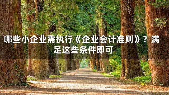 哪些小企业需执行《企业会计准则》？满足这些条件即可