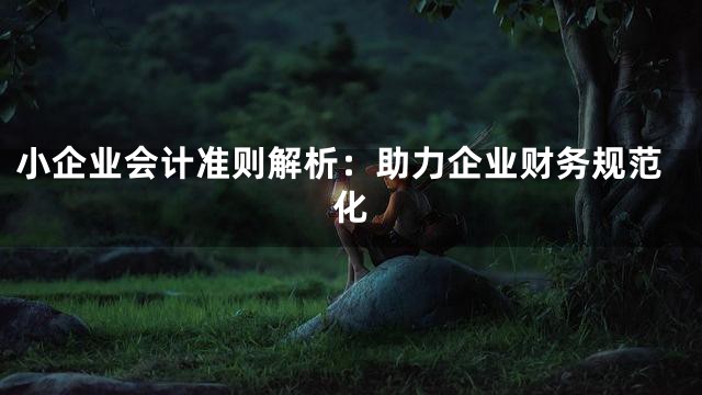 小企业会计准则解析：助力企业财务规范化