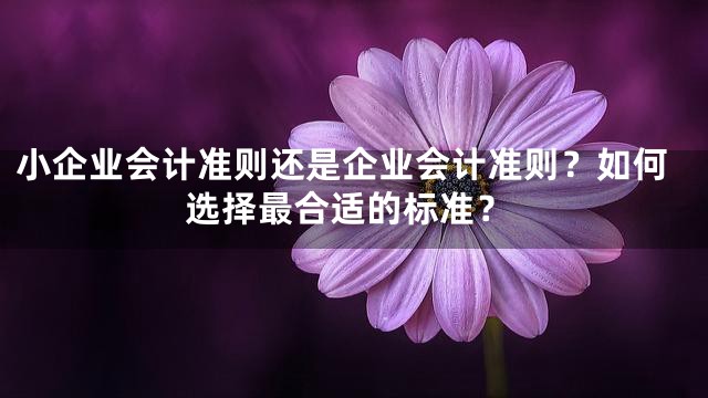 小企业会计准则还是企业会计准则？如何选择最合适的标准？