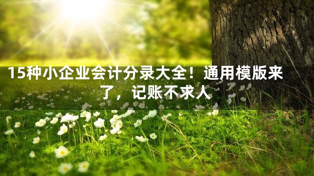 15种小企业会计分录大全！通用模版来了，记账不求人