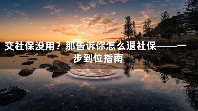 交社保没用？那告诉你怎么退社保——一步到位指南