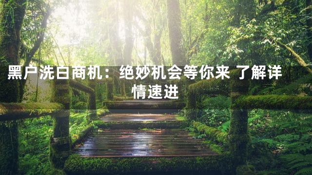 黑户洗白商机：绝妙机会等你来 了解详情速进