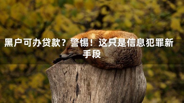 黑户可办贷款？警惕！这只是信息犯罪新手段