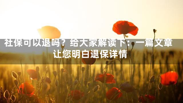 社保可以退吗？给大家解读下：一篇文章让您明白退保详情