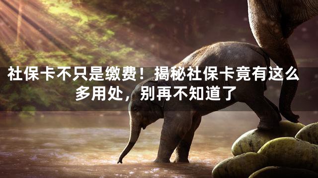 社保卡不只是缴费！揭秘社保卡竟有这么多用处，别再不知道了