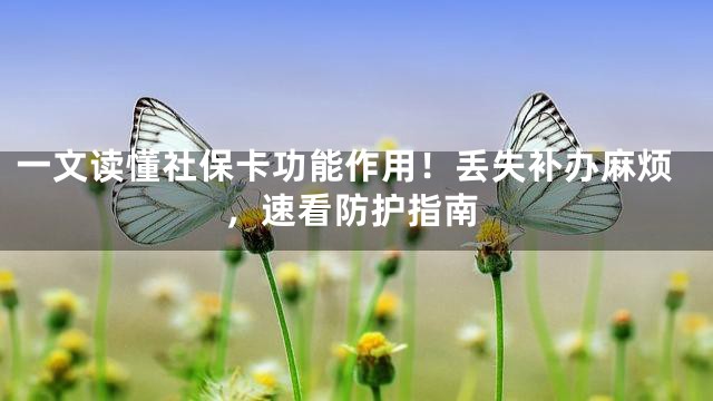 一文读懂社保卡功能作用！丢失补办麻烦，速看防护指南