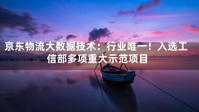 京东物流大数据技术：行业唯一！入选工信部多项重大示范项目