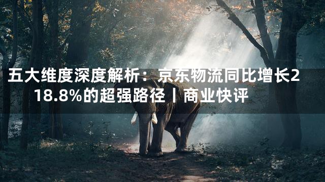 五大维度深度解析：京东物流同比增长218.8%的超强路径丨商业快评