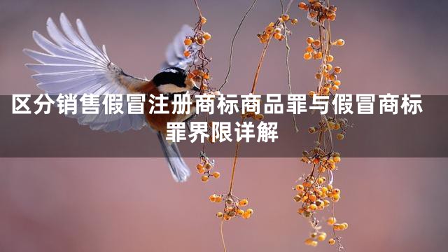 区分销售假冒注册商标商品罪与假冒商标罪界限详解