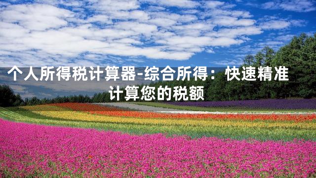 个人所得税计算器-综合所得：快速精准计算您的税额
