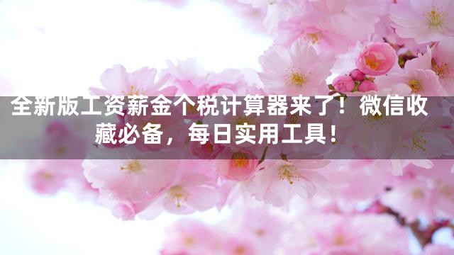 全新版工资薪金个税计算器来了！微信收藏必备，每日实用工具！