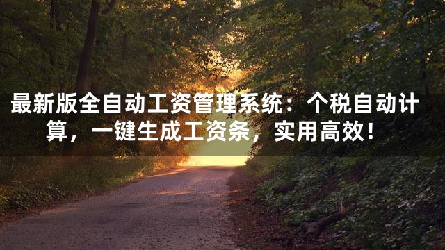 最新版全自动工资管理系统：个税自动计算，一键生成工资条，实用高效！