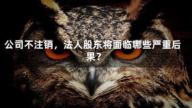公司不注销，法人股东将面临哪些严重后果？