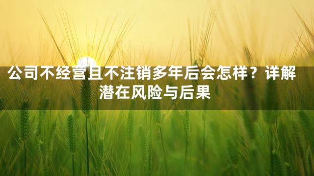 公司不经营且不注销多年后会怎样？详解潜在风险与后果