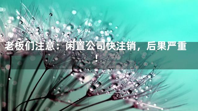 老板们注意：闲置公司快注销，后果严重！