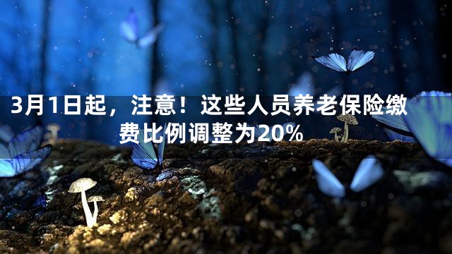 3月1日起，注意！这些人员养老保险缴费比例调整为20%