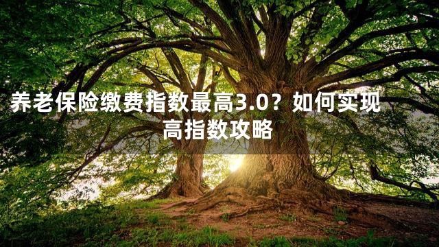 养老保险缴费指数最高3.0？如何实现高指数攻略