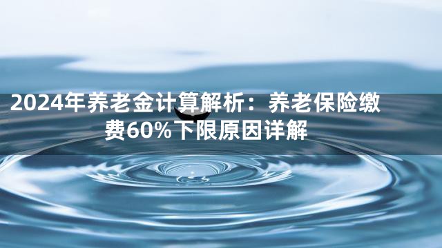 2024年养老金计算解析：养老保险缴费60%下限原因详解