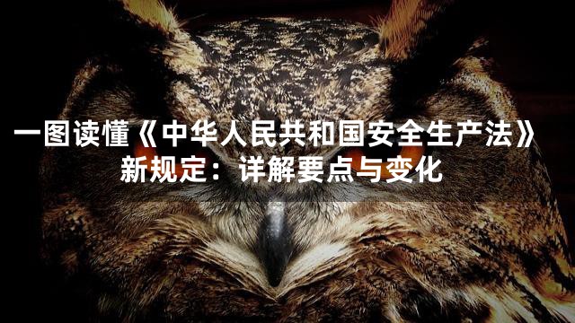 一图读懂《中华人民共和国安全生产法》新规定：详解要点与变化