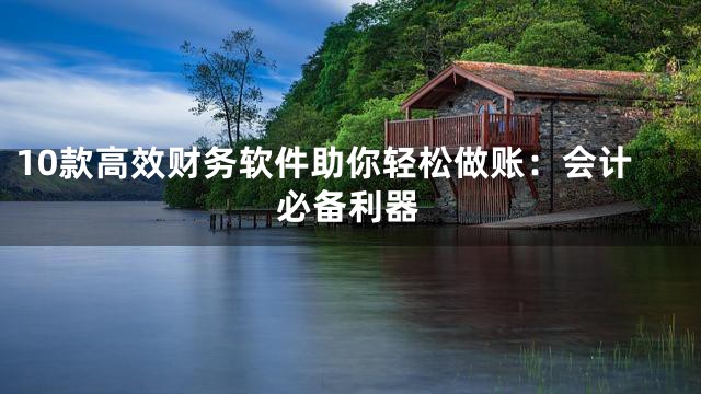 10款高效财务软件助你轻松做账：会计必备利器