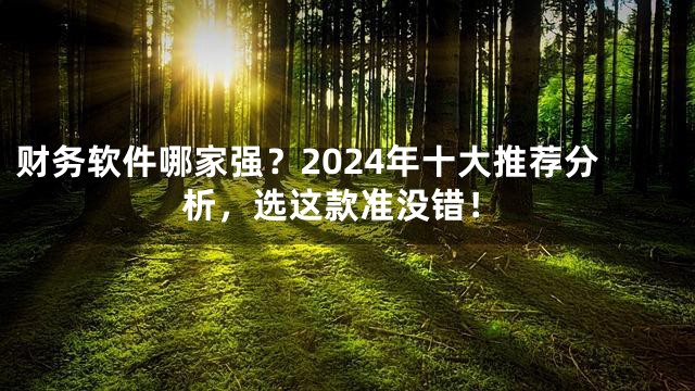 财务软件哪家强？2024年十大推荐分析，选这款准没错！