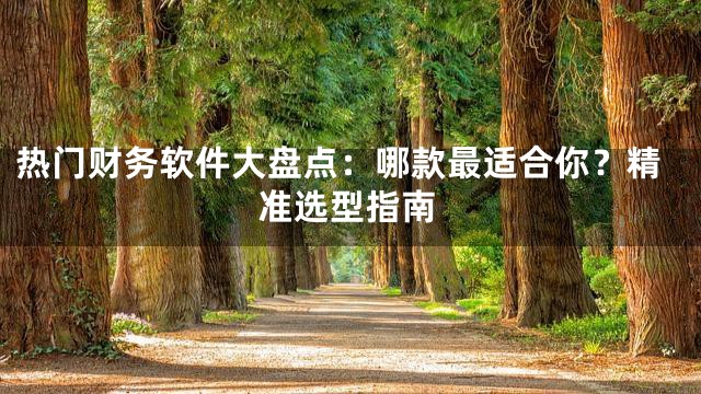 热门财务软件大盘点：哪款最适合你？精准选型指南