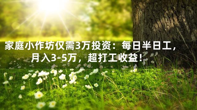 家庭小作坊仅需3万投资：每日半日工，月入3-5万，超打工收益！