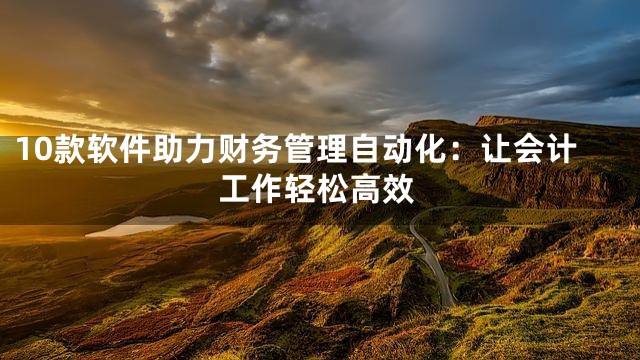 10款软件助力财务管理自动化：让会计工作轻松高效