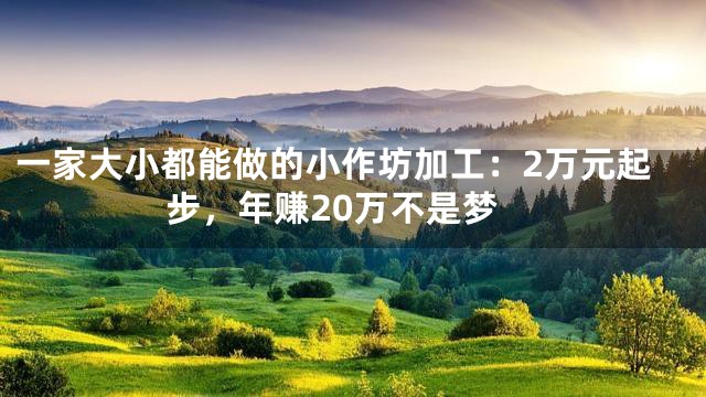 一家大小都能做的小作坊加工：2万元起步，年赚20万不是梦