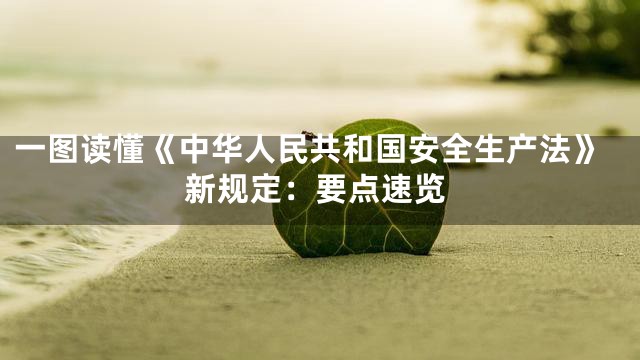 一图读懂《中华人民共和国安全生产法》新规定：要点速览