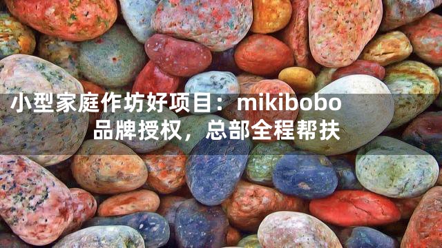 小型家庭作坊好项目：mikibobo品牌授权，总部全程帮扶