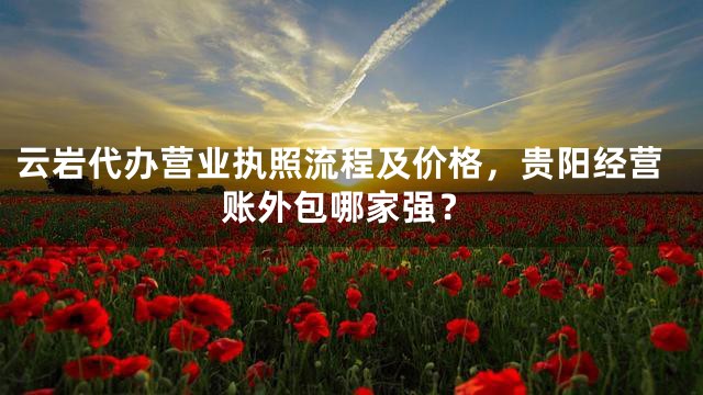 云岩代办营业执照流程及价格，贵阳经营账外包哪家强？