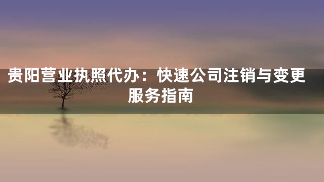 贵阳营业执照代办：快速公司注销与变更服务指南